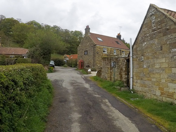 Farndale Daffodil Walk 11