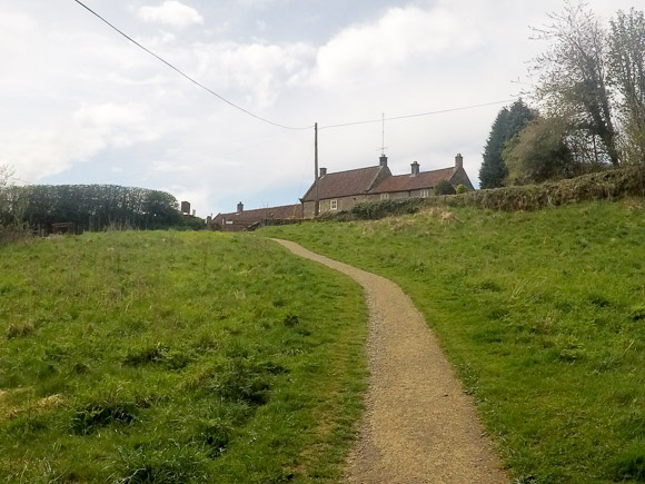 Farndale Daffodil Walk 33