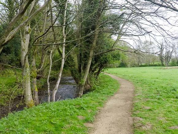 Farndale Daffodil Walk 4