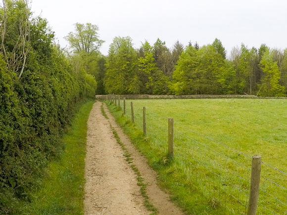 Helmsley to Rievaulx Abbey walk 4