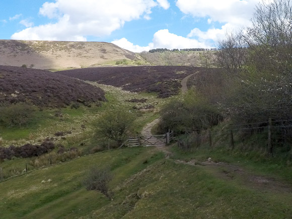 Hole of Horcum 33