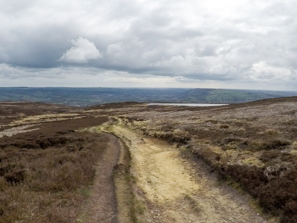 Ilkley Moor Cow and Calf and the Twelve Apostles 36