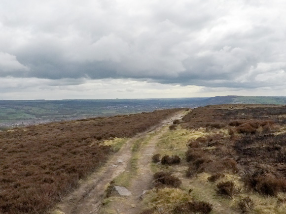 Ilkley Moor Cow and Calf and the Twelve Apostles 40