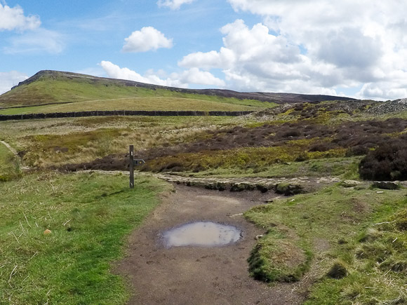 Lord Stones and Cleveland Way 10