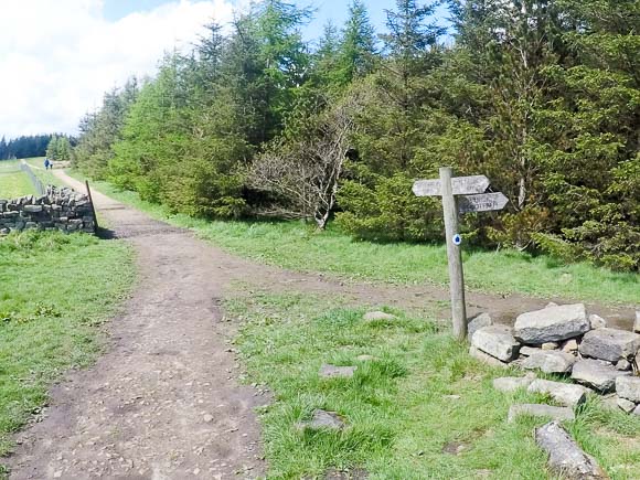 Lord Stones and Cleveland Way 19