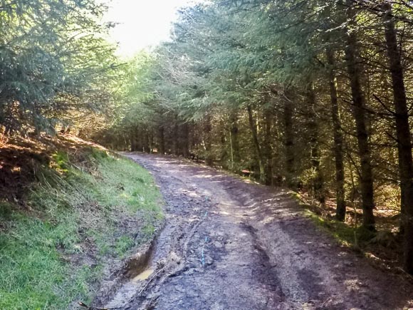 Lord Stones and Cleveland Way 5