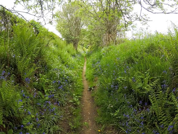 Wainstones Circular Walk 5